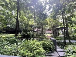 Martin Modern (D9), Condominium #562248511